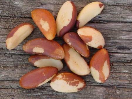Brazil nuts. September 27, 2010. “Watching Garforth Town crash out of this 